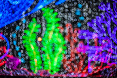 Under The Sea Background With Bokeh