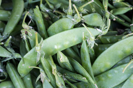 Green peasの写真素材