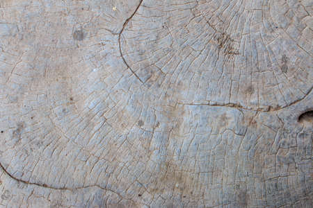 Wood pattern on cement texture and background