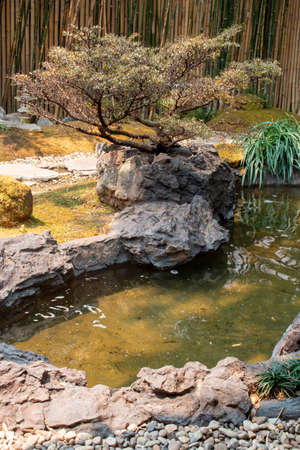 The Japanese Garden is in a restaurant in Chiang Mai. Thailandの写真素材