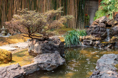 The Japanese Garden is in a restaurant in Chiang Mai. Thailandの写真素材