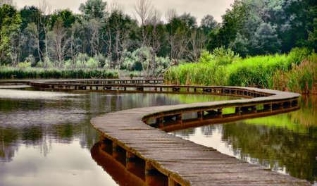 bridge over lake
