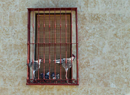 Window decorationの写真素材