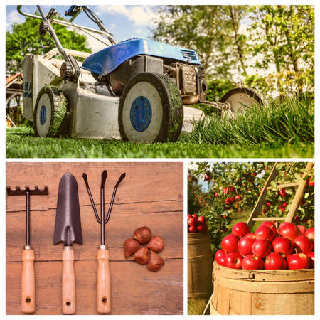 Collage, background or poster of Gardening and agriculture. Poster related to activities in garden and fields. Gardening tools, seeds and fruits. Taking care of garden. summer and spring activities.の写真素材