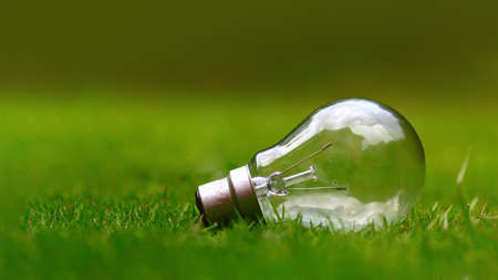Close up light bulb on the grass. Photo with copy space related to environment. Concept of Earth Day June 5. Symbol of think, ecology and go green. Poster, banner or background with a bulb. World Day.の写真素材