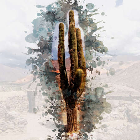 Watercolor illustration of a cactus. Artistic wallpaper, background or backdrop. Watercolor landscape.の写真素材