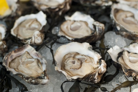 Traditional serving of fresh oyster in dozensの写真素材