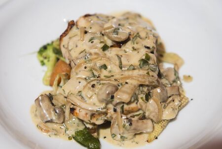 Grilled chicken breast served with creamy mushroom sauceの写真素材