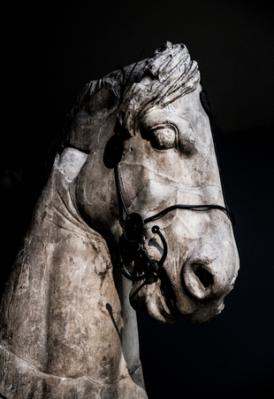 Fragments of a colossal horse from the quadriga of the Mausoleum at Halikarnassosの写真素材