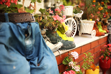 Decorative Garden in Istanbul Turkeyの写真素材