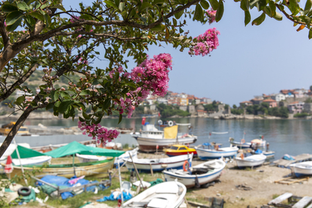 Spring in Amasra and Colorful New Blooming Flowersの写真素材