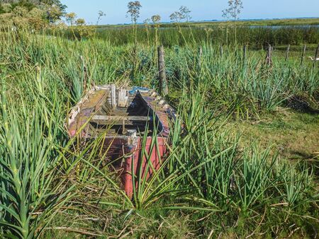Fisherman's barge, abandoned in riverside vegetation ......の写真素材