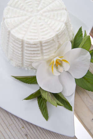 derived from milk, ricottaの写真素材