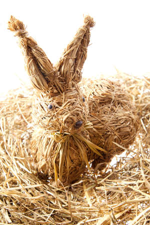 rabbit eggsの写真素材