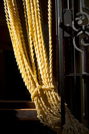 pastaの写真素材