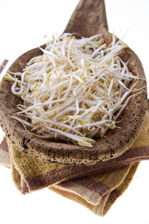 soy sproutsの写真素材
