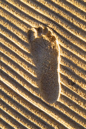 footstepsの写真素材