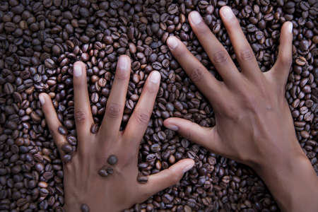 hands of a young woman and coffee beansの写真素材