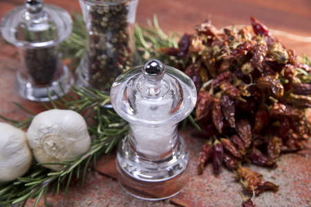 Salt And Pepper To Taste The Dishes Of The Italian Cuisineの写真素材