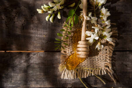 Presentation of small wooden spoon with acacia honey with its flowerの写真素材
