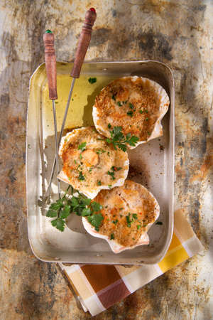 Presentation of scallops au gratin baked with parsley Presentation of scallops au gratin baked with parsley