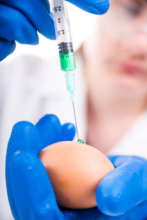 Presentation of the laboratory stage to the practice of the GMOの写真素材