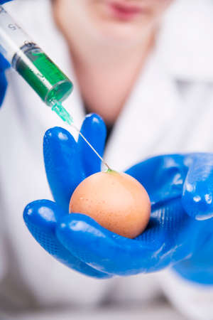 Presentation of the laboratory stage to the practice of the GMOの写真素材