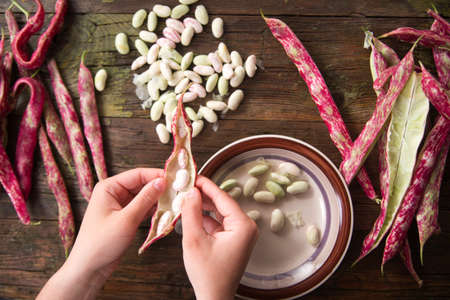 Representation of the time that the hands are busy shelling beansの写真素材