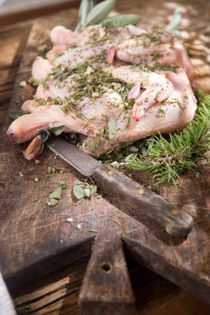 Preparation of a whole chicken with Mediterranean herbsの写真素材