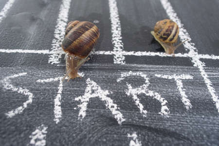 The daily road used with caution by a slow snailの写真素材