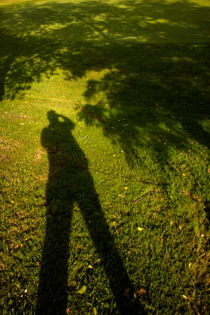 Representative image of its shadow projected on the groundの写真素材