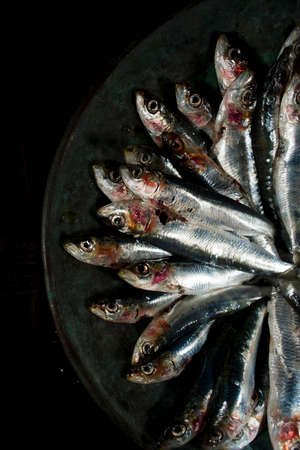 Presentation of portion of raw anchovies in a copper plateの写真素材