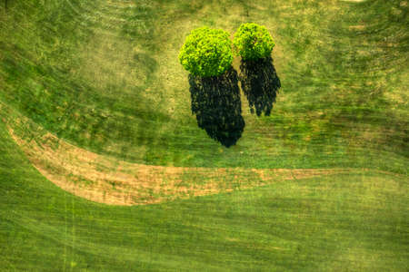 Top view with the use of a drone of a golf courseの写真素材