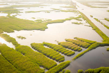 Shot from the top of a marshy area near Viareggio Tuscanyの写真素材