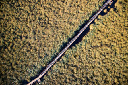 Aerial view of a swampy area near Viareggio in Tuscanyの写真素材