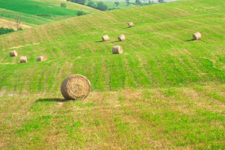 In the Tuscan countryside in the summer during the hay harvestの写真素材