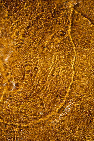 Background created by the movement of yellow waters in a small tankの写真素材