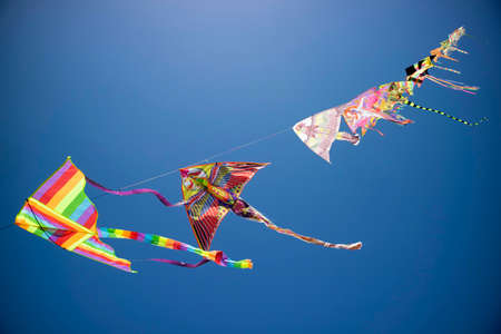Photographic documentation of the series of colorful kites flying in the blue skyの写真素材