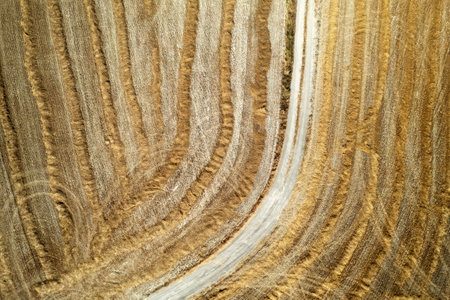 Aerial photographic documentation of the straw drying phase before harvestingの写真素材