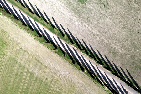 Aerial photographic documentation of a cypress road in the province of Siena Tuscany Italyの写真素材
