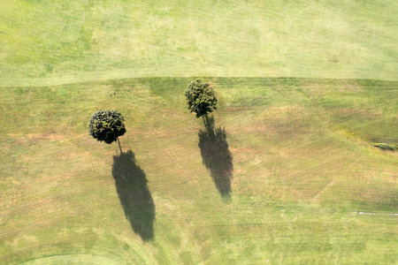 Photographic documentation of the shadow of a tree taken from aboveの写真素材