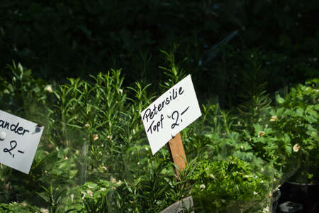 spicesの写真素材