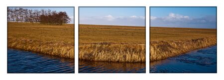 Panoramic Landscape of the dutch wetlandsの写真素材