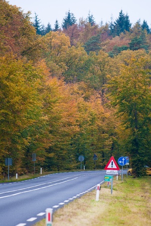 Autumn Roadの写真素材
