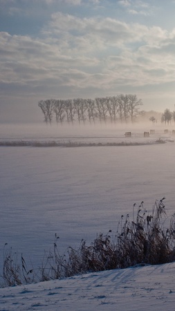 Various winter landscapes in the Netherlandsの写真素材