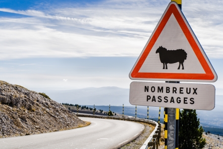 Sheep Road Sign, France, Mountain, Mt  Ventouxの写真素材