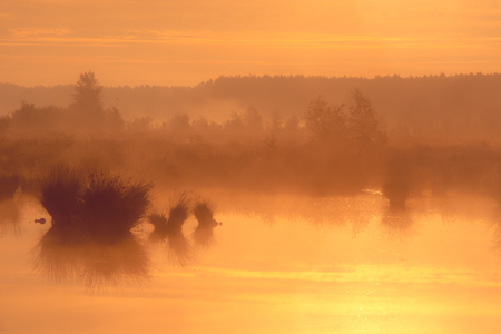 Calm and great misty sunset over swamp in Drenthe, Netherlandsの写真素材