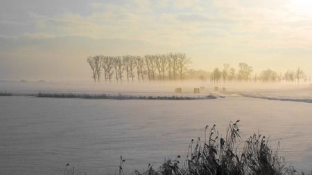 A rural road on a dutch dike, just before the break of dawn on a winter morningの写真素材