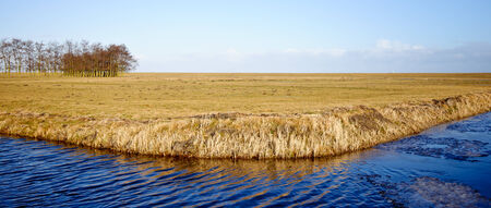 Typical country landscape in Marken The Netherlands (near Amsterdam)の写真素材
