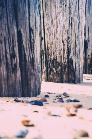 Timber groynes on the beach  at the north sea, Hollandの写真素材
